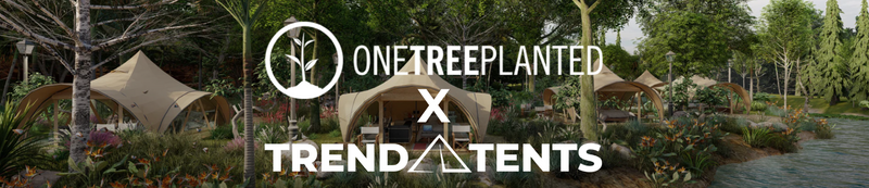 Planting Trees, Protecting Trails: How Every Adventure Can Give Back