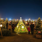 Pine Wonderland Tipi