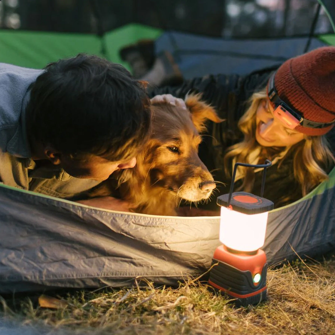 Trend Tents Portable Hanging LED Lantern Flashlight